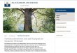 Textarbeit Macedo – Stückmann Stiftung